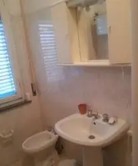 Siena camera singola zona Porta Pispini