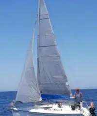 Viko 20 (Deltania 20)