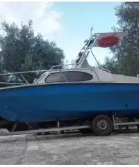 Barca semicabinata m. 5 evinrude 115 hp