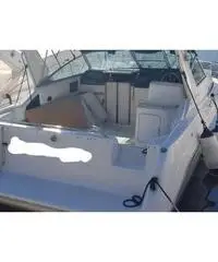 Sea Ray Sundancer 310