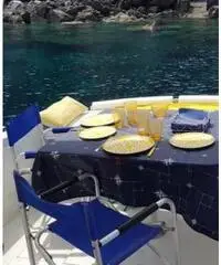 Barca a motore Mochi craft 31 dominator