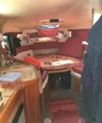 Cabinato sealine 290 ambassador