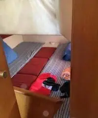 Cabinato sealine 290 ambassador