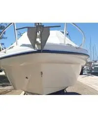 Ranieri 22 shadow w.a. motore evinrude etec 225 cv