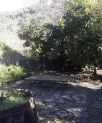 Imperia Clavi appartamento in mulino cod. 7108