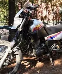 Xt 600 3tb 1995 euro 900