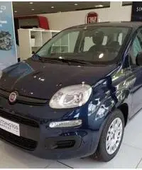 FIAT Panda EASY 1.0 HYBRID 70 CV