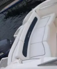 Rio cruise 550 motore yamaha 100 cv carrello revis