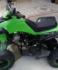 Altro Altro modello - 2016