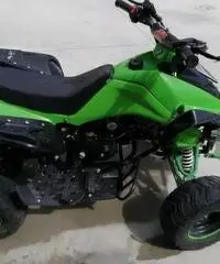 Altro Altro modello - 2016