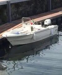 Selva tiller 4,50+kingfish 25