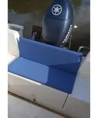 Barca open da pesca 5 m