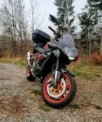 Aprilia tuono 1000