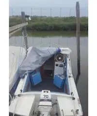 Pilotina semicabinata tullio abbate sea lady