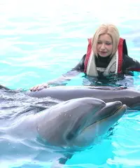 Cercando la mia anima gemella