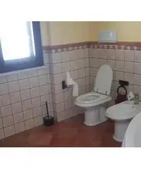 Partinico, terrasini, giardinelo rif. 24/19