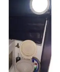 Sagene 28 - DISLOCANTE -