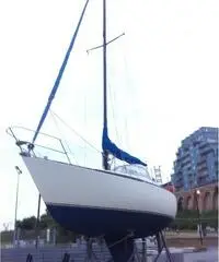 Barca a vela natante Ferretti Altura 10 anche Permuta parziale