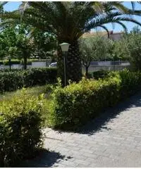 APPARTAMENTO INDIPENDENTE CON GARAGE E GIARDINO