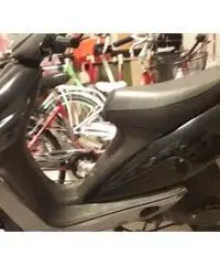 Malaguti Phantom F12