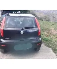 Fiat punto benzina