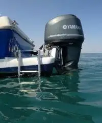 Fisherman 7,30 + Yamaha F225 4T