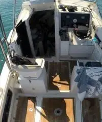 Fisherman 7,30 + Yamaha F225 4T