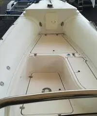 Gommone nuova jolly 600