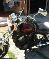 Honda VT 500C del 1986