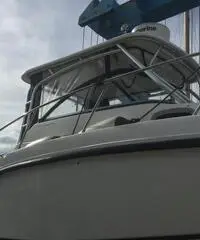 Fisherman Boston whaler 255 conquest