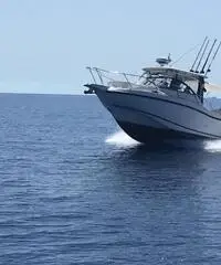 Fisherman Boston whaler 255 conquest