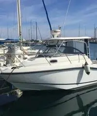 Fisherman Boston whaler 255 conquest