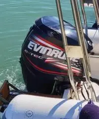 Joker boat coaster 650 solo 240 ore