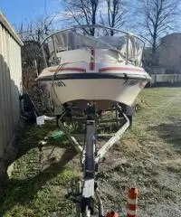 Pilotina carrello rivisionato