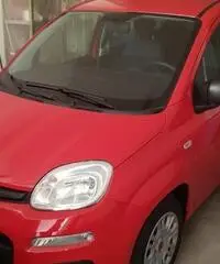 FIAT Panda 3ª serie - 2020