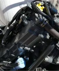 Gommone sacs 490 + motore johnson 40 cv + carello