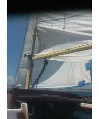 Samourai campeggio nautico