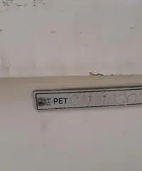 Open 550 Petteruti con 40 CV 4 TEMPI