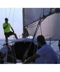 Leader 31 vela per tutti