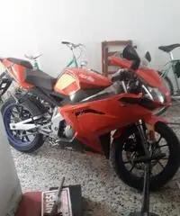 Aprilia RS 50 - 2008
