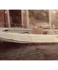 Boston Whaler (trattabile)