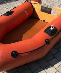 Tender con motore elettrico