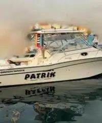 Grady White 330 + 2x350 hp Yamaha