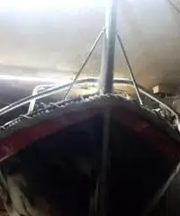 Gozzo in vetroresina Mt 6.con motore diesel cv 14