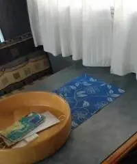 Acquistp ad altro camper