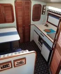 Imbarcazione Thompson U.S.A