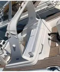 Gommone Pholas 23 con motore Evinrude 250 HP
