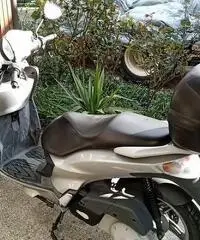 Malaguti Password 250