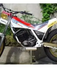 Trial 125.3 serie 2 Professional FM 361 anno 1987