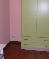 Singola in centro-economia- sc. politiche